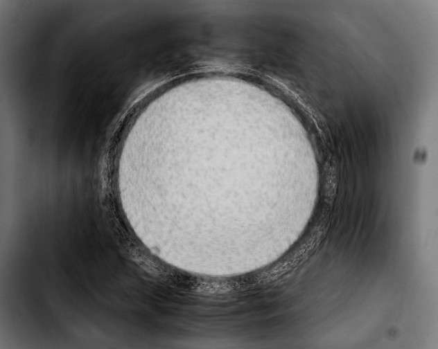 X0000103331215200810171416