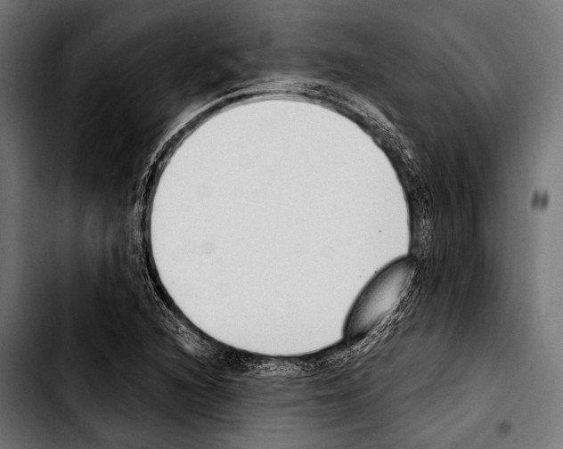 X0000103331216200810171416