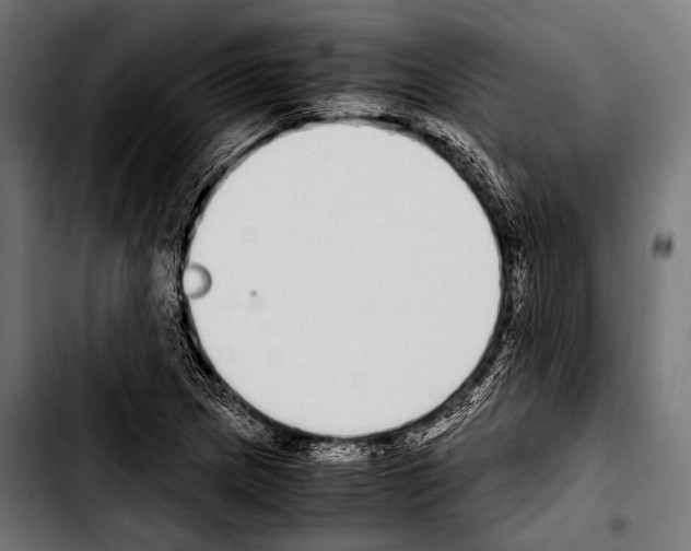 X0000103331217200810171416