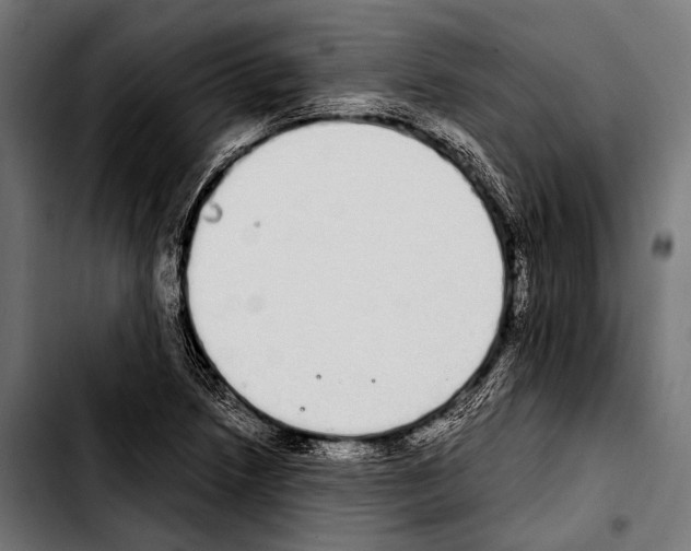 X0000103331218200810171416