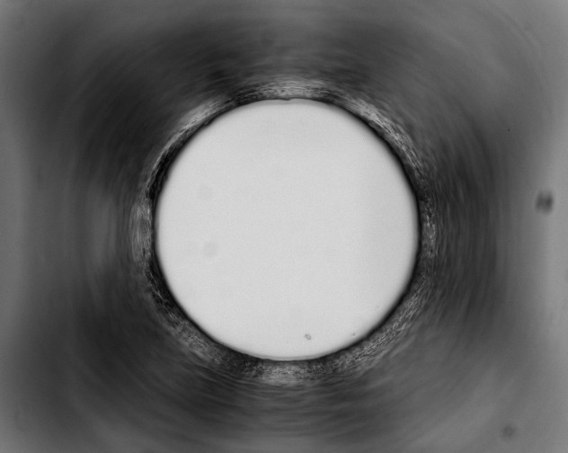 X0000103331219200810171416