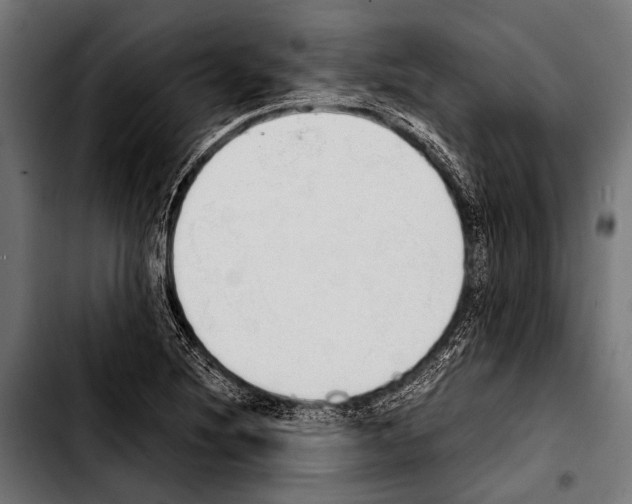 X0000103331220200810171416