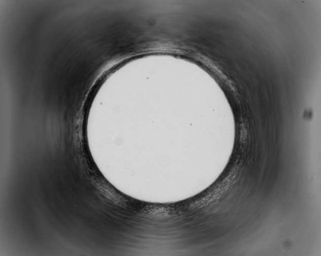 X0000103331222200810171416