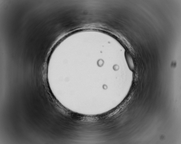 X0000103331224200810171416