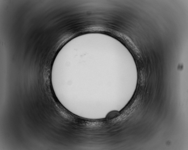 X0000103331225200810171417