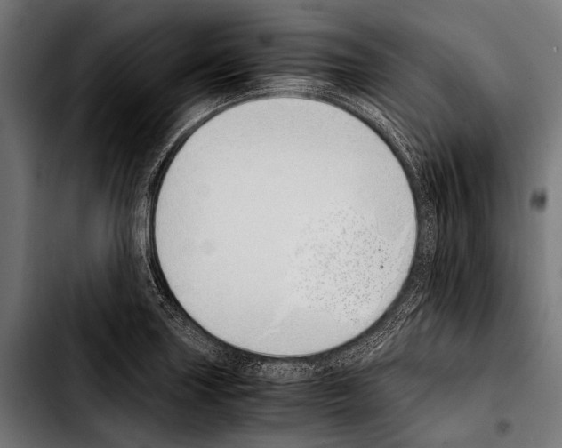 X0000103331227200810171417