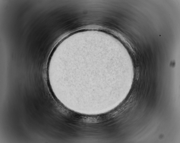 X0000103331229200810171417