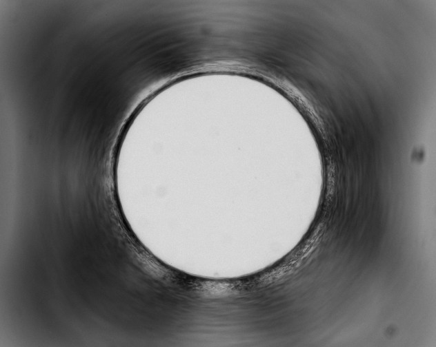 X0000103331230200810171417