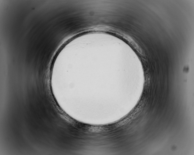 X0000103331232200810171417