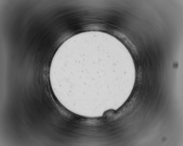 X0000103331233200810171417