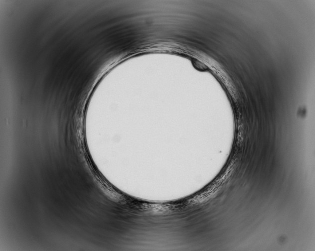 X0000103331234200810171417