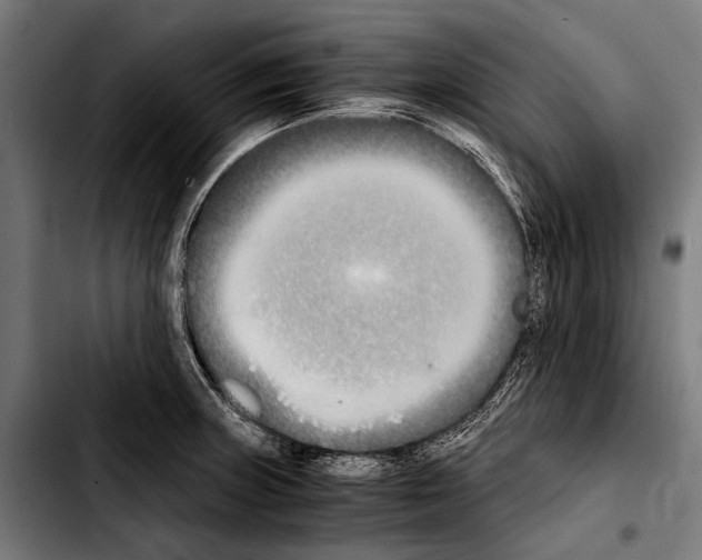 X0000103331235200810171417