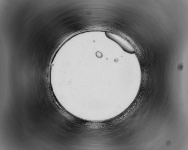 X0000103331236200810171417