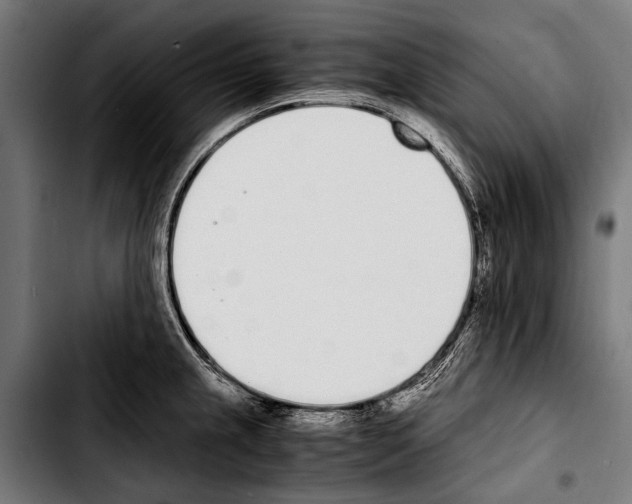 X0000103331237200810171417