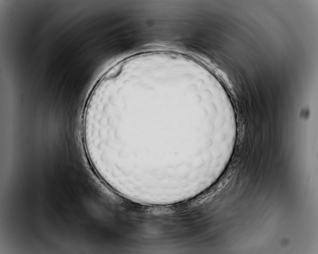 X0000103331239200810171417