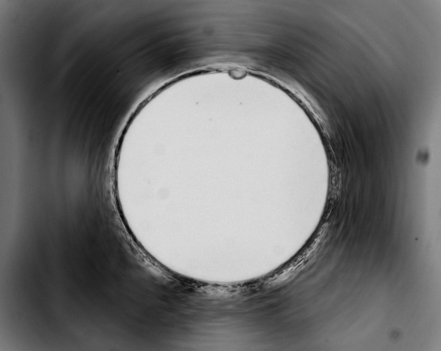 X0000103331240200810171417