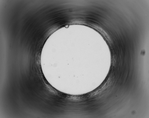 X0000103331241200810171417