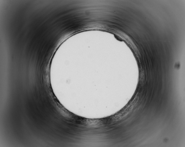 X0000103331242200810171417