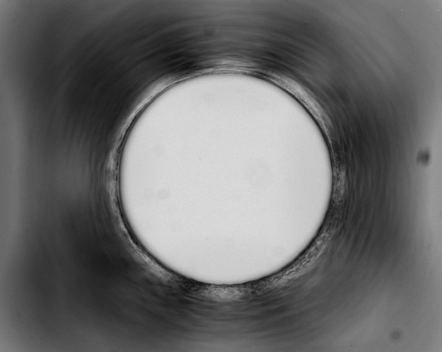 X0000103331243200810171417