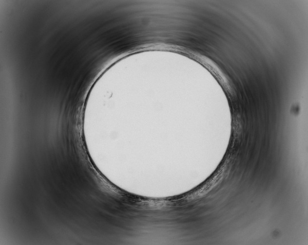 X0000103331244200810171417