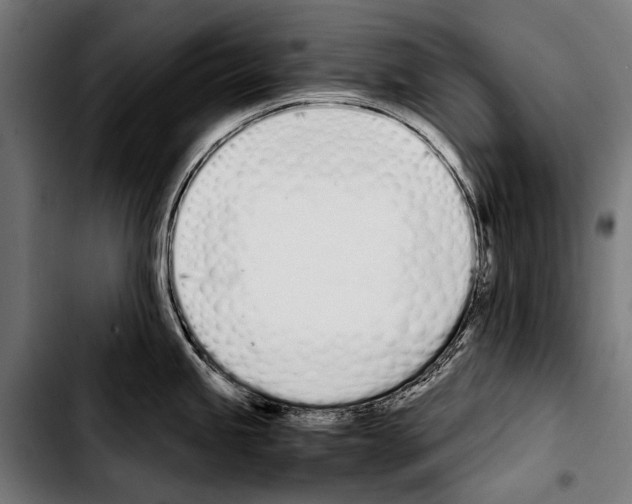 X0000103331245200810171417