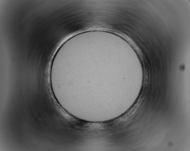 X0000103331246200810171417