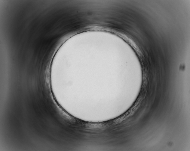 X0000103331247200810171417