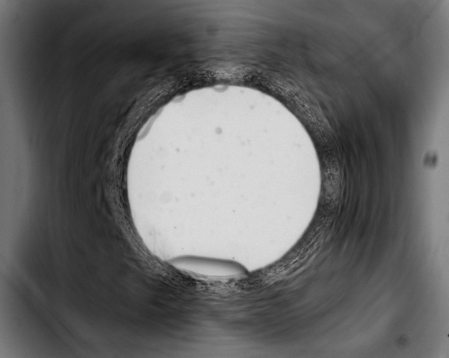 X0000103331249200810171416