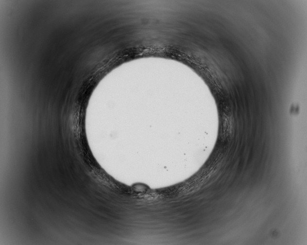 X0000103331250200810171416