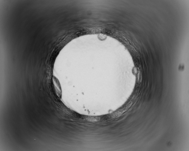 X0000103331251200810171416