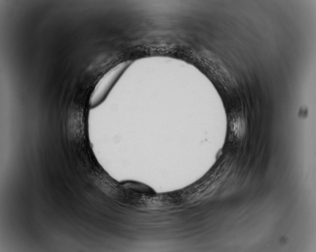 X0000103331252200810171416