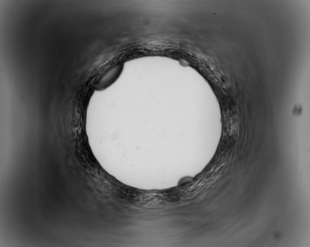 X0000103331253200810171416