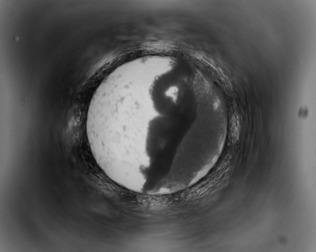 X0000103331254200810171416