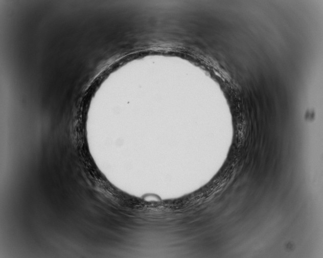 X0000103331256200810171416