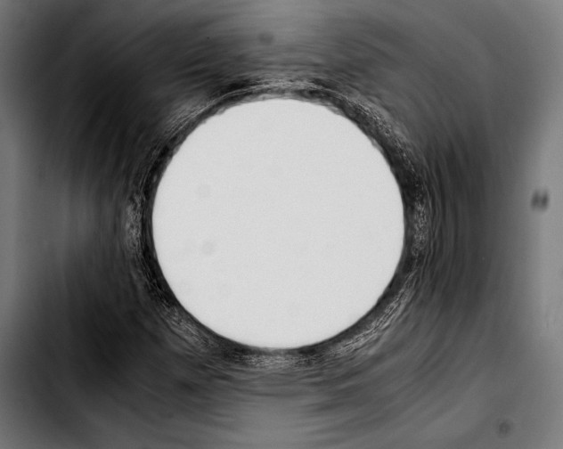 X0000103331257200810171416