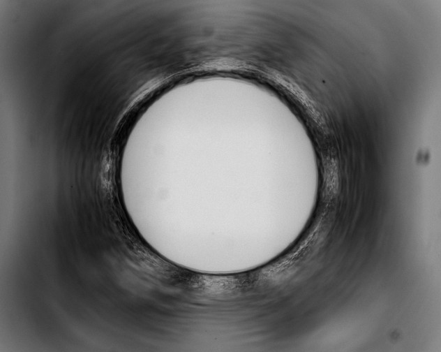 X0000103331258200810171416