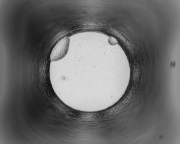 X0000103331259200810171416