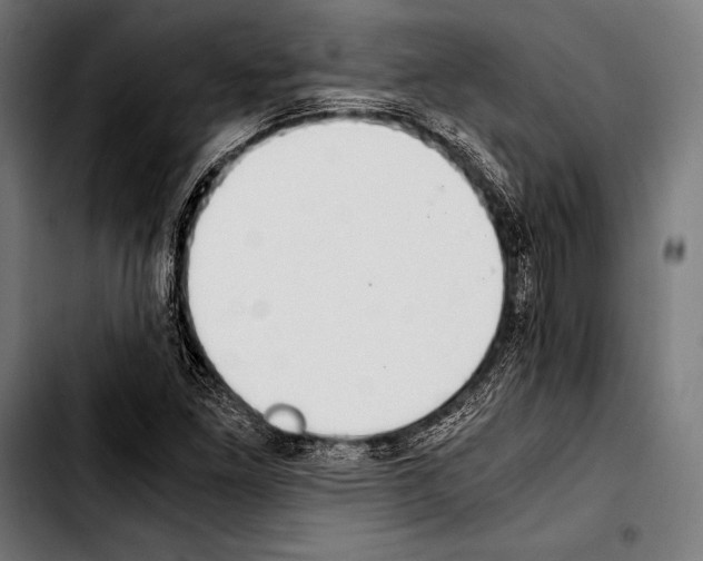 X0000103331261200810171416