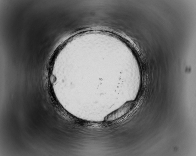 X0000103331263200810171416