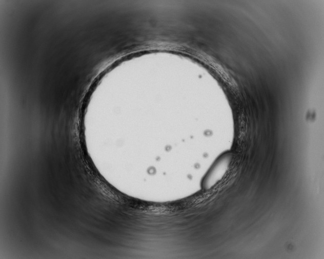 X0000103331264200810171416