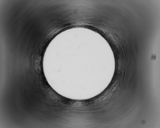 X0000103331265200810171416