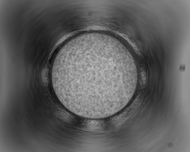 X0000103331266200810171416