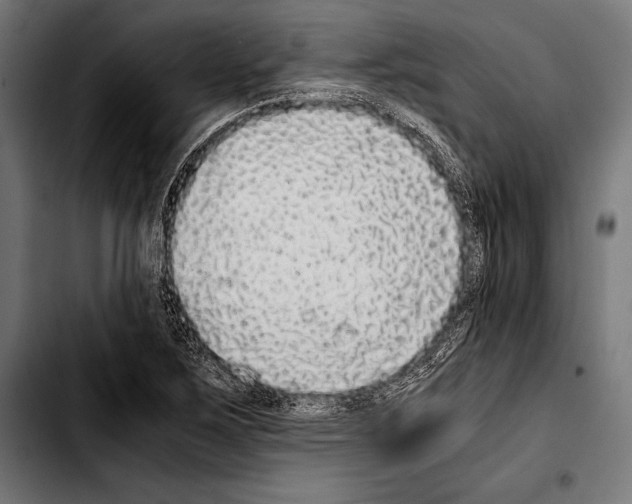 X0000103331267200810171416