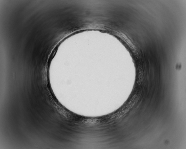 X0000103331268200810171416