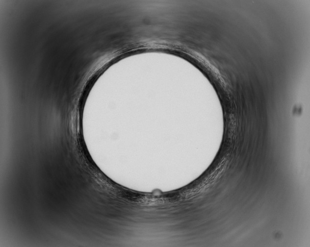 X0000103331269200810171416