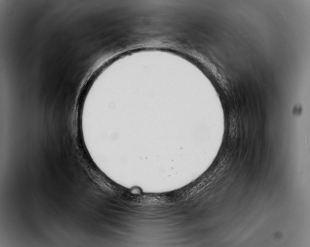 X0000103331270200810171416