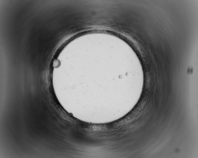 X0000103331271200810171416