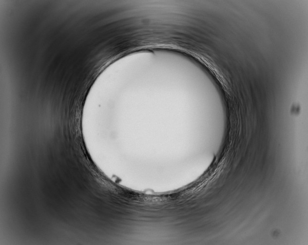 X0000103331273200810171416