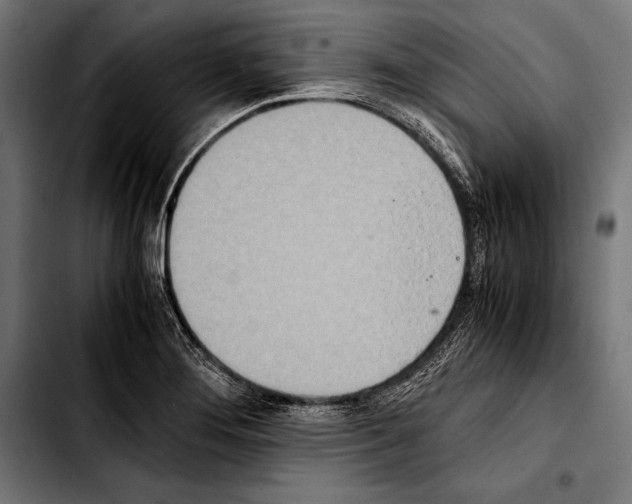 X0000103331276200810171416