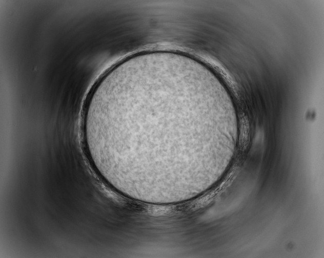 X0000103331278200810171416